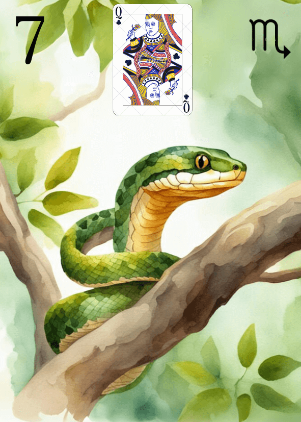 Carte Lenormand 07 Le Serpent